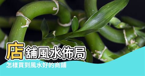 店舖風水|【店鋪風水局】旺財8要素 